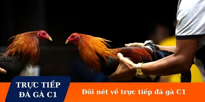 Đôi nét về trực tiếp đá gà cúp C1