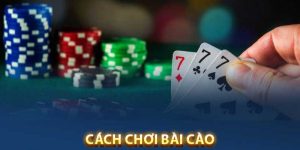 Nắm chắt được luật chơi chỉ thắng không thua