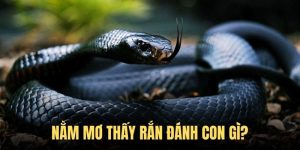 Nằm mơ thấy rắn đánh gì để nắm bắt cơ hội phát tài nhanh?