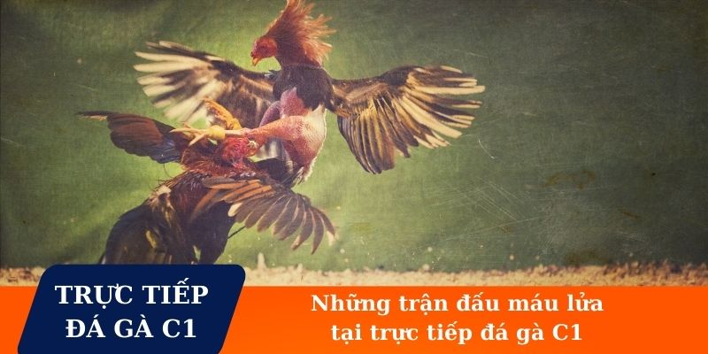 Những trận đấu so tài kịch tính máu lửa